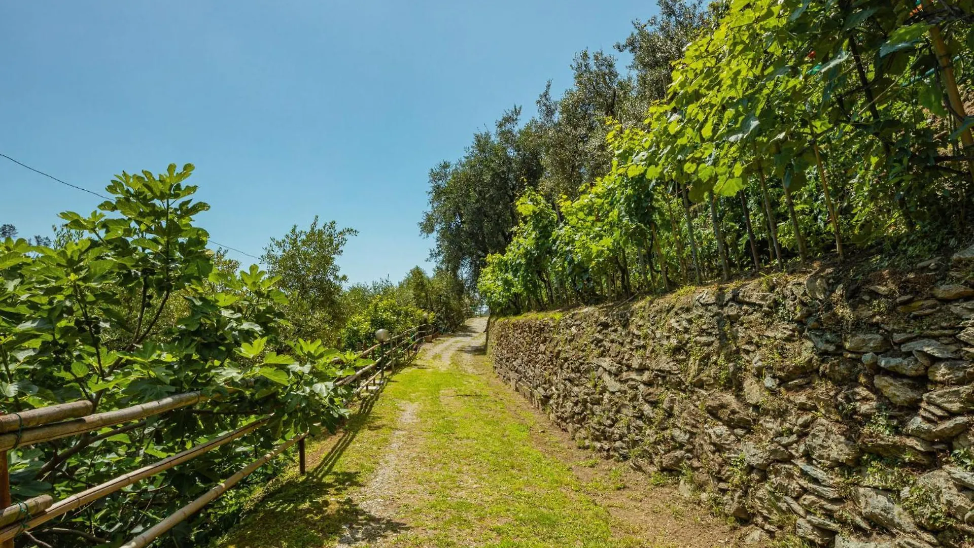 Holiday Home La Sperduta By Interhome Montignoso Italy