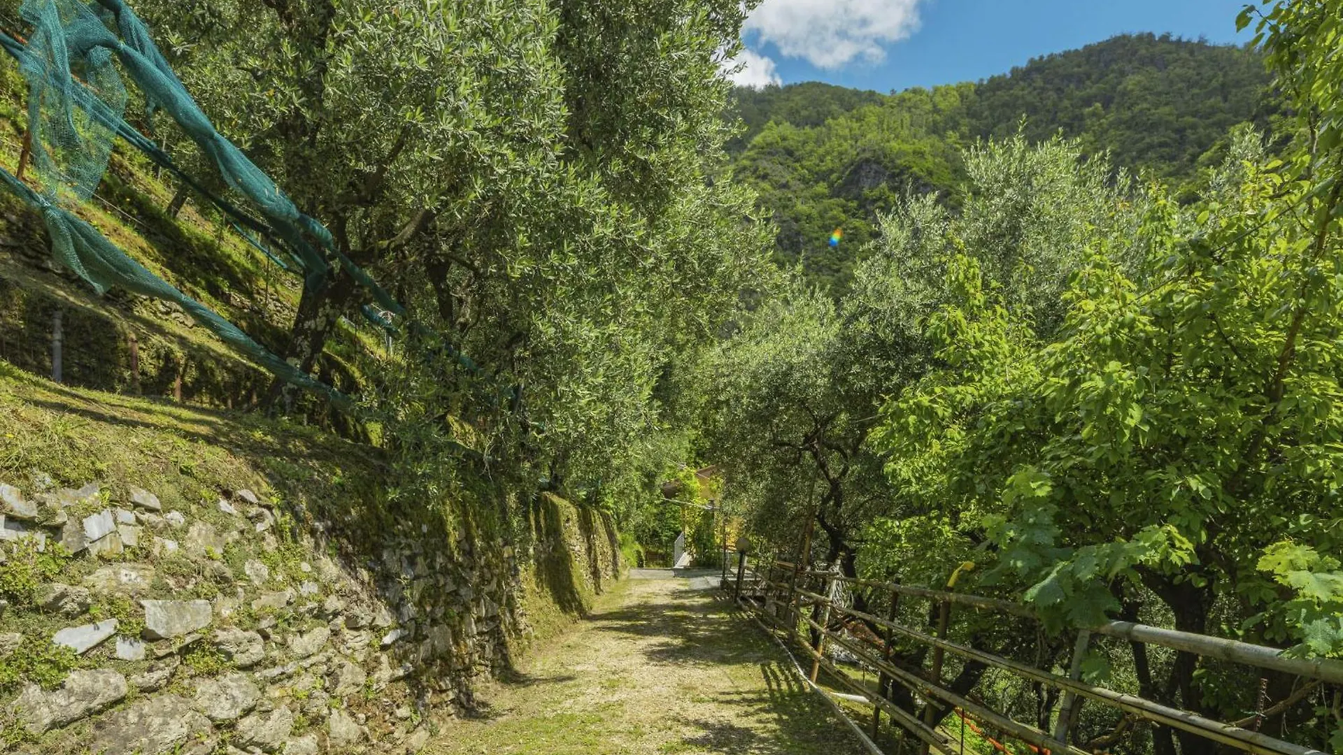 Holiday Home La Sperduta By Interhome Montignoso Italy